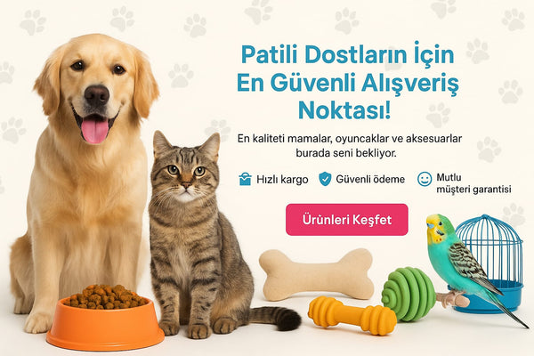 Pativer Petshop